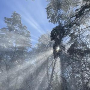 尤物视频网页版
