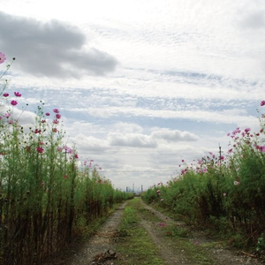 尤物视频网页版
